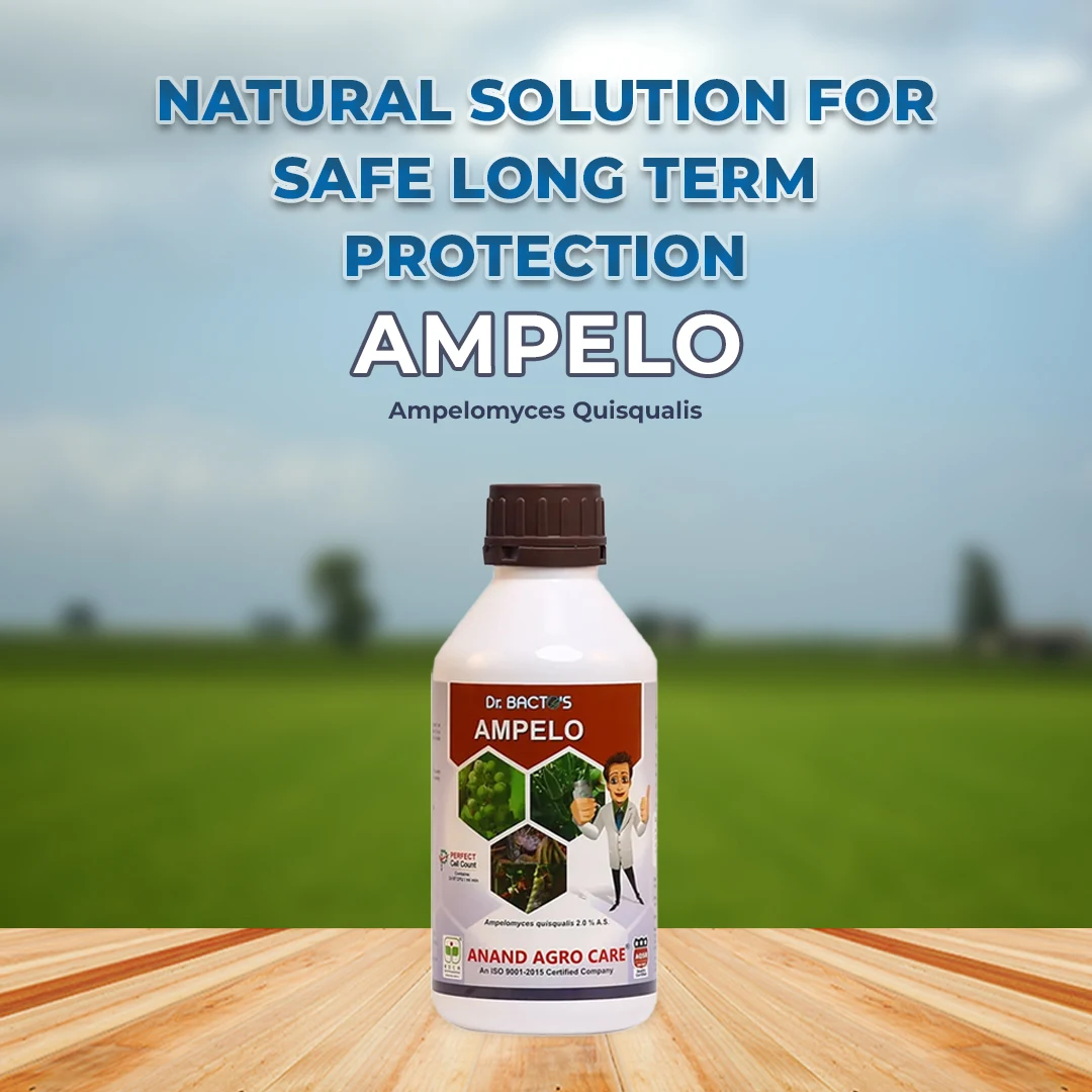 Anand Dr.Bacto\'s Ampelo Bio Fungicide - Ampelomyces Quisqualis 2.0 A.S. - Image 2