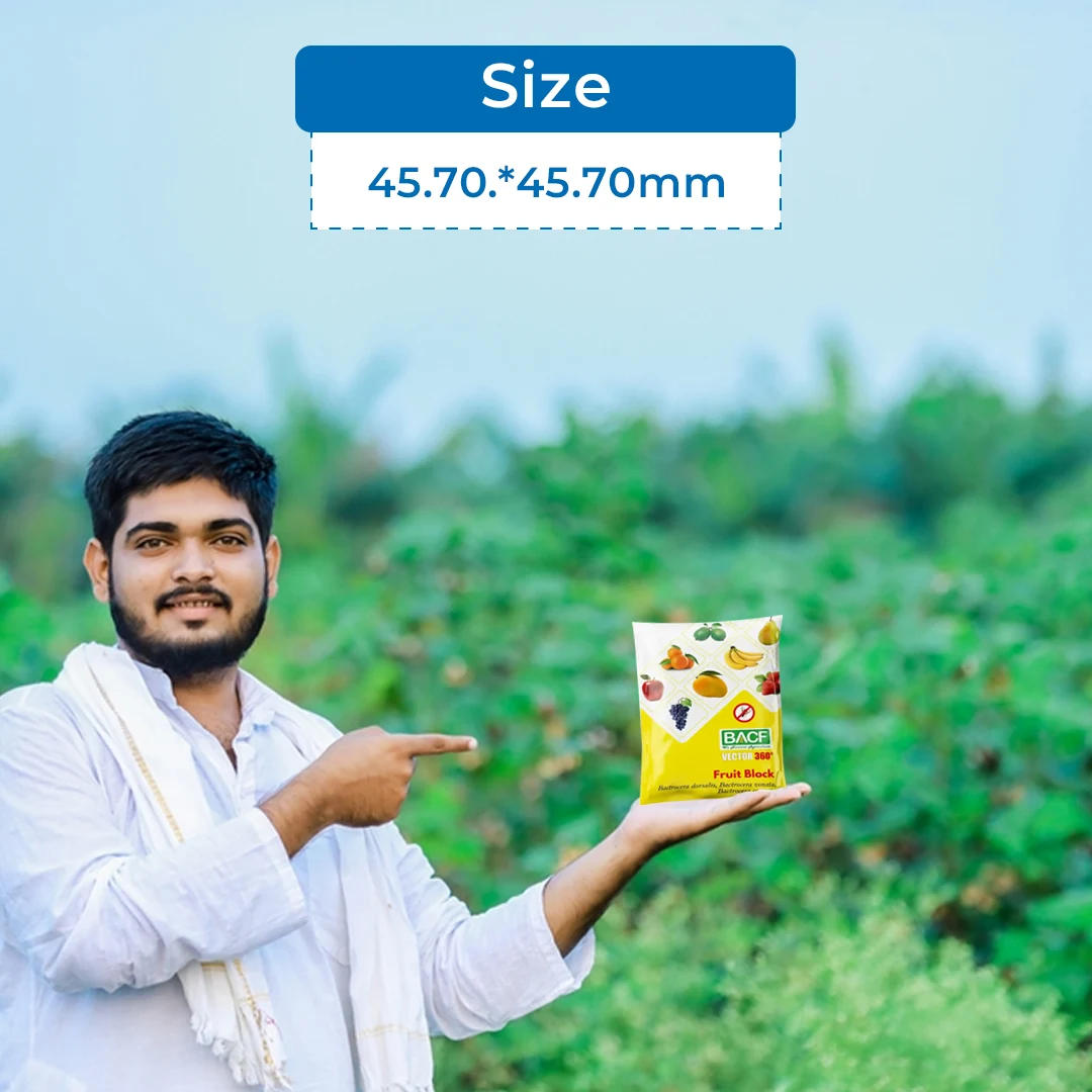 बीएसीएफ वेक्टर 360 फ्रूट ब्लॉक ल्यूर, बैक्ट्रोसेरा डोर्सालिस, बैक्ट्रोसेरा ज़ोनटा, बैक्ट्रोसेरा कोरेक्टा ल्यूर. - Image 5