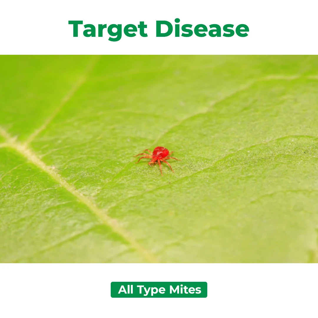 Zolomite Insecticide (Fenpyroximate 5% EC) | Buy Online