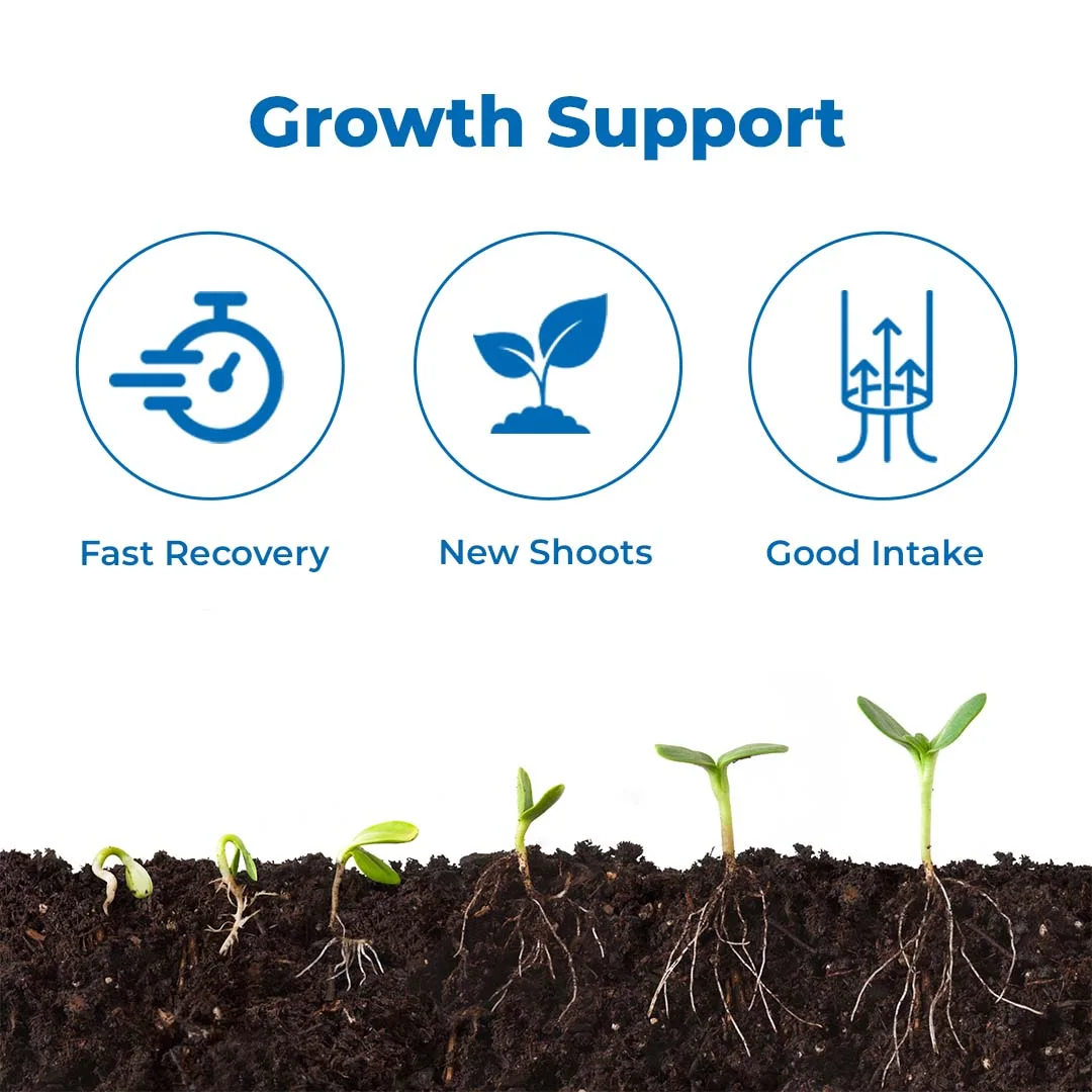 आनंद एमिनो एसिड पाउडर 80% 18 आवश्यक अमीनो एसिड का अनूठा मिश्रण है, क्लोरोफिल की सामग्री को बढ़ाता है। - Image 3