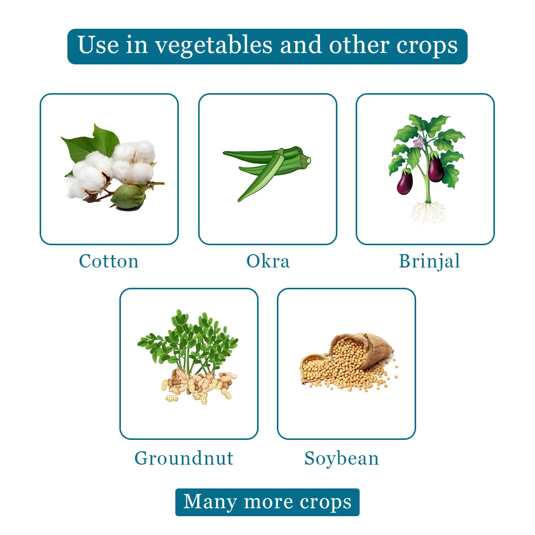 EBS Bacillus Thuringiensis Bio Larvicide, For All Plants And Home Garden, Ecofriendly, Effective Against All Lepidopteran Caterpillars - Image 4