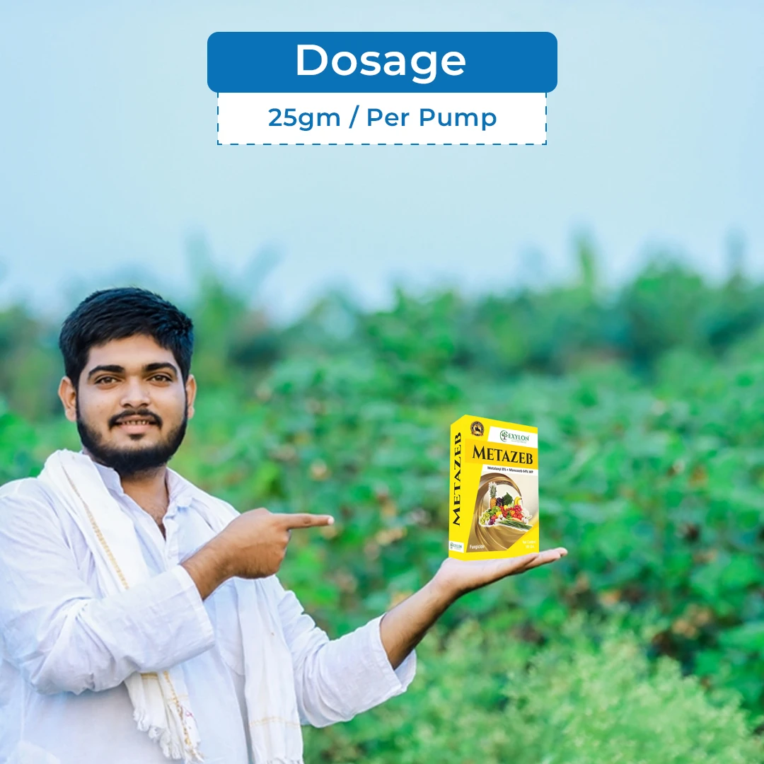 Kemoxyl Fungicide | Buy Online