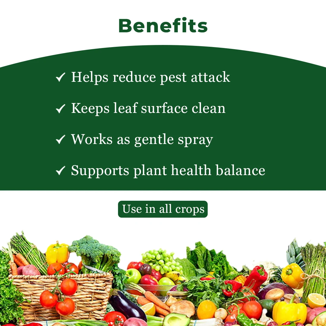 EBS Neem Oil - Image 4