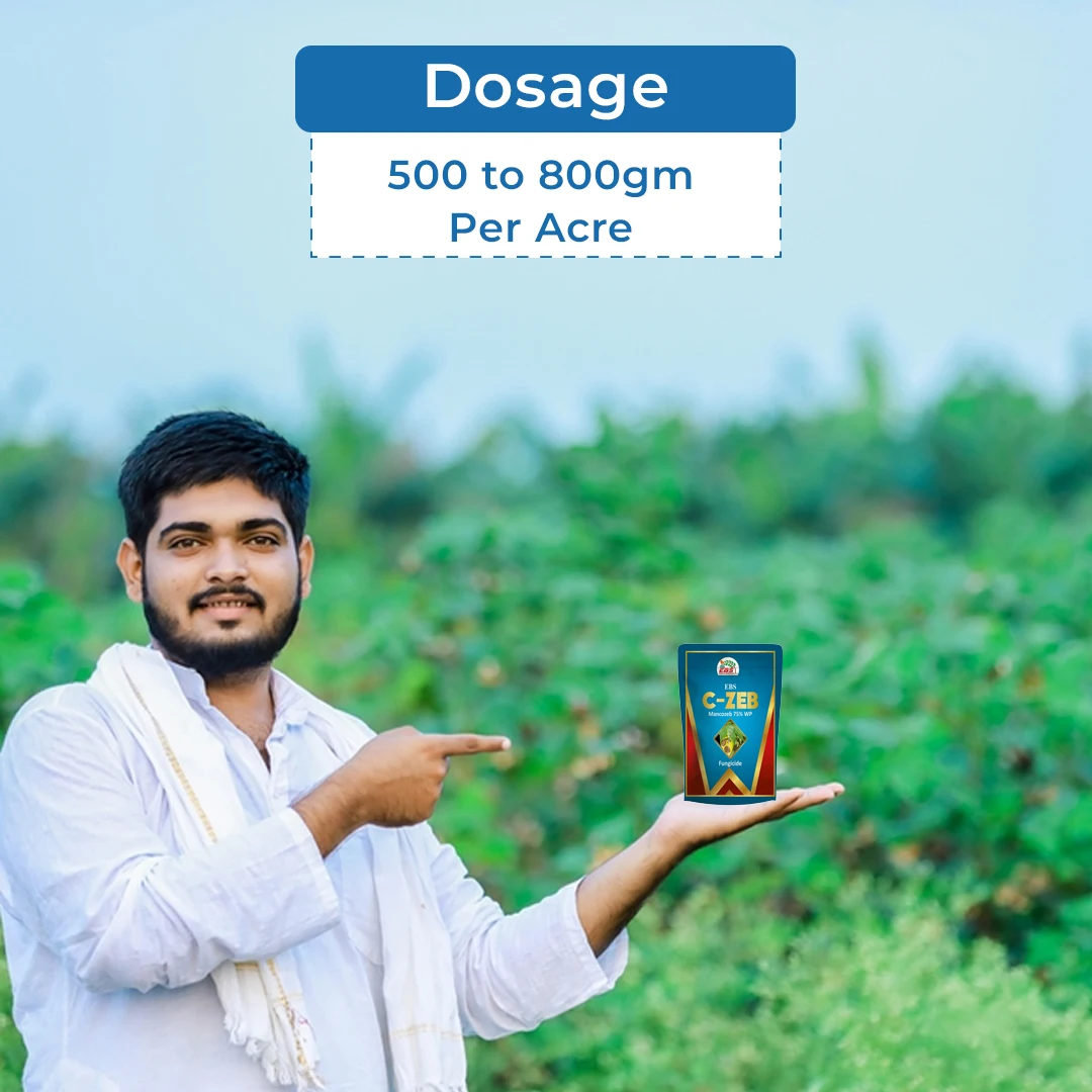 ईबीएस सी-जेब मैन्कोजेब 75% डब्ल्यूपी. फफूंदनाशक, धान की पत्तियों पर होने वाले सभी फफूंद, कृषि पौधों और घरेलू उद्यान के लिए उपयोग करें. - Image 5