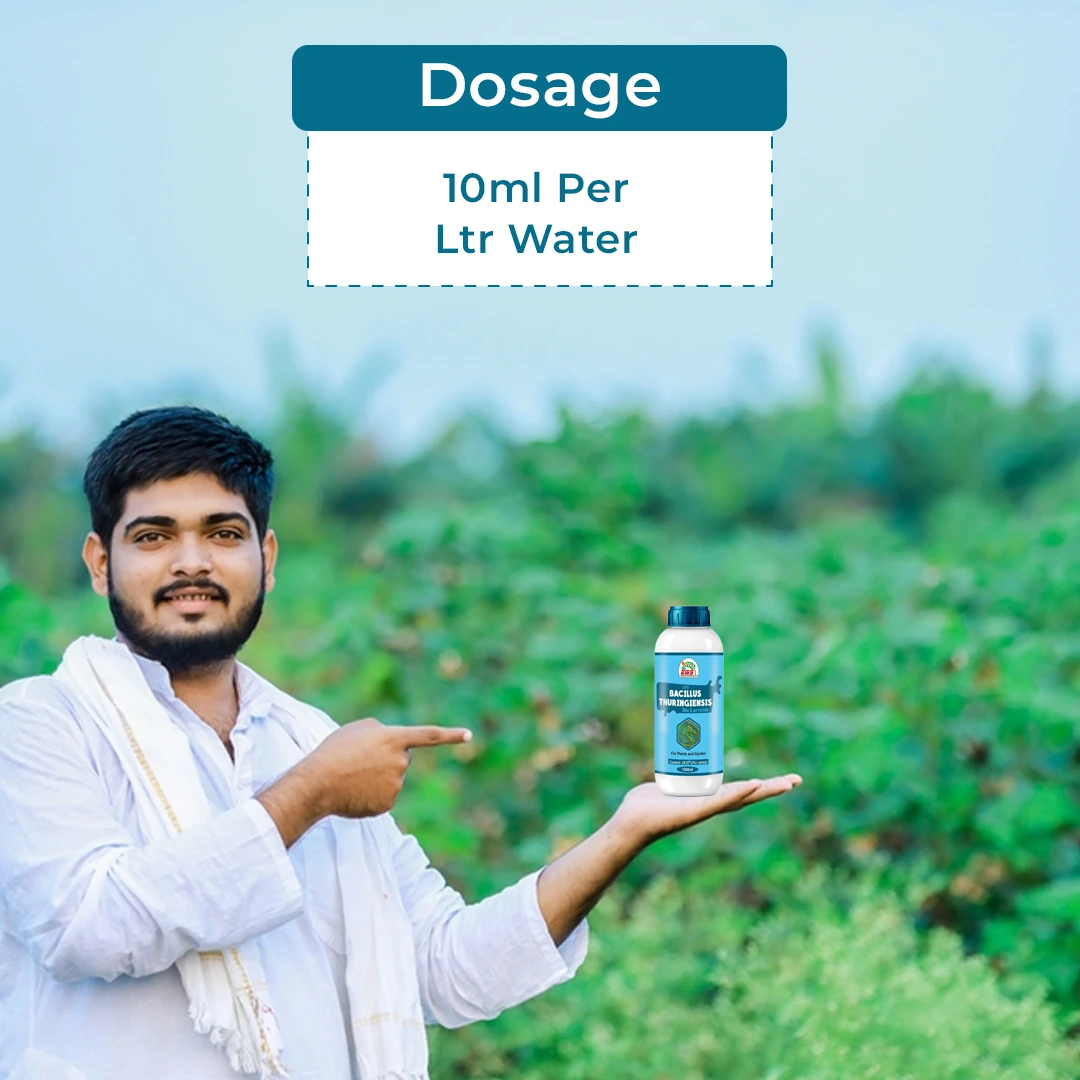 EBS Bacillus Thuringiensis Bio Larvicide, For All Plants And Home Garden, Ecofriendly, Effective Against All Lepidopteran Caterpillars - Image 5