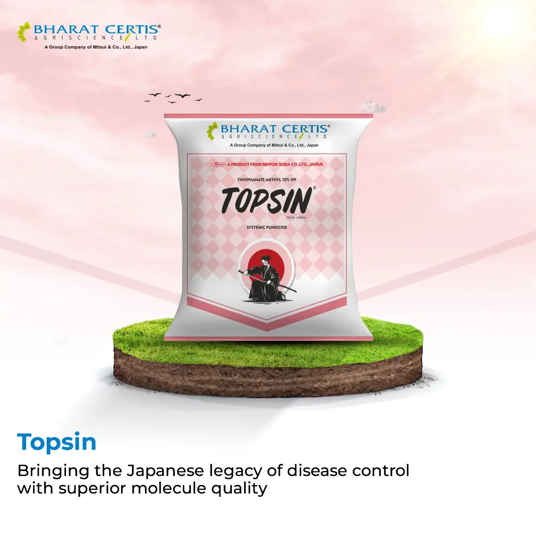 Bharat Certis Topsin Thiophanate Methyl 70% WP Systemic Fungicide, Controls Wide Range Of Fungal Diseases - Image 4