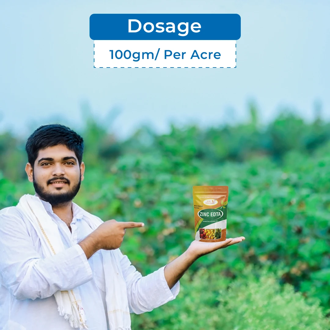 एग्रीवेंचर जिंक ईडीटीए 12% - धान, कपास, मिर्च, गन्ना, सब्जियां, मक्का, मूंगफली, और बागवानी फसलों पर उपयोग करें। - Image 5