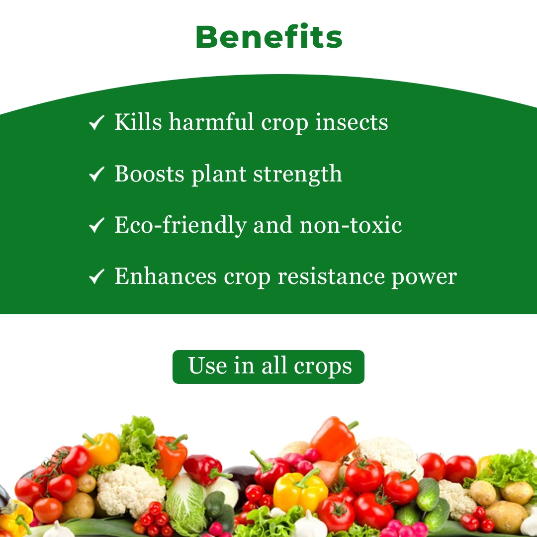 डॉ. आनंद नीम, 3000 पीपीएम नीम तेल, पौधों में प्रतिरोध में सुधार करने के लिए उपयोग करें, सभी फसलों के लिए उपयोगी सादा नीम तेल। - Image 4