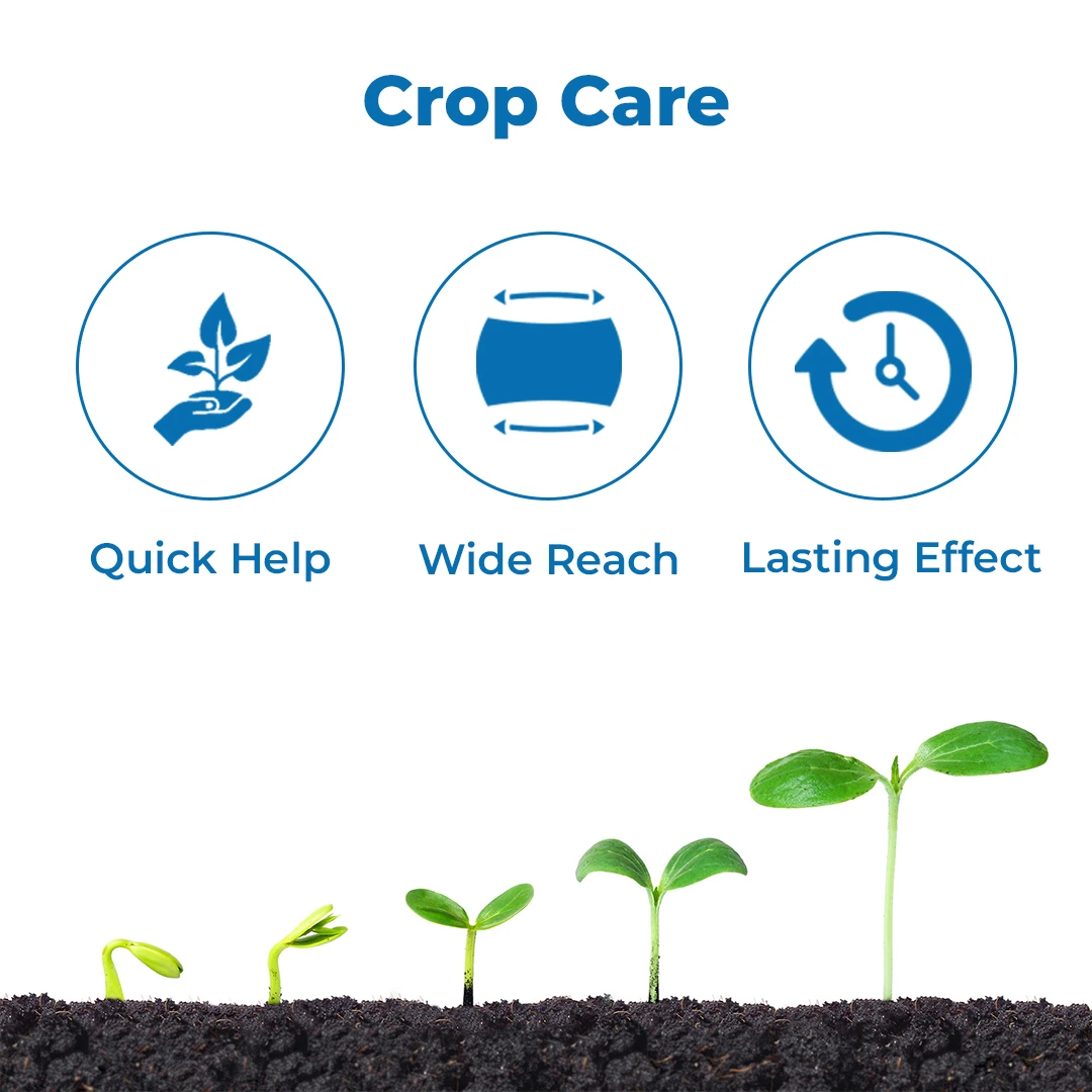 Agriventure Fifthi Insecticide - Fipronil 4% + Thiamethoxam 4% SC - Image 3