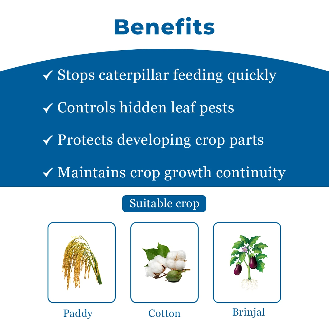 Chemley Catgen Insecticide | Buy Online