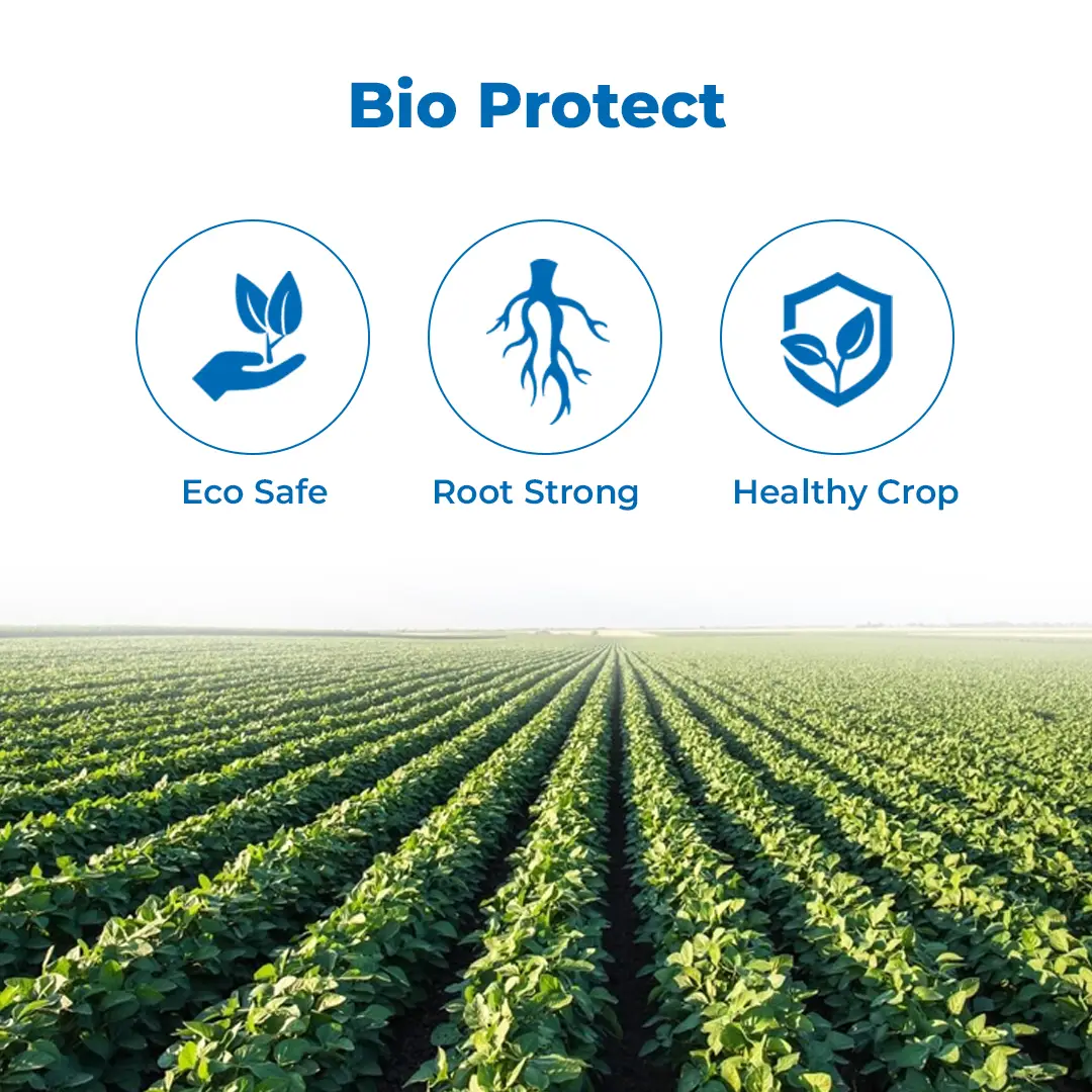 बीएसीएफ ट्राइडेंट ट्राइकोडर्मा विराइड 1.5% डब्ल्यूपी, कार्बनिक जैविक फफूंदनाशक, सभी प्रकार के खेतों और बागवानी फसलों के लिए. - Image 3