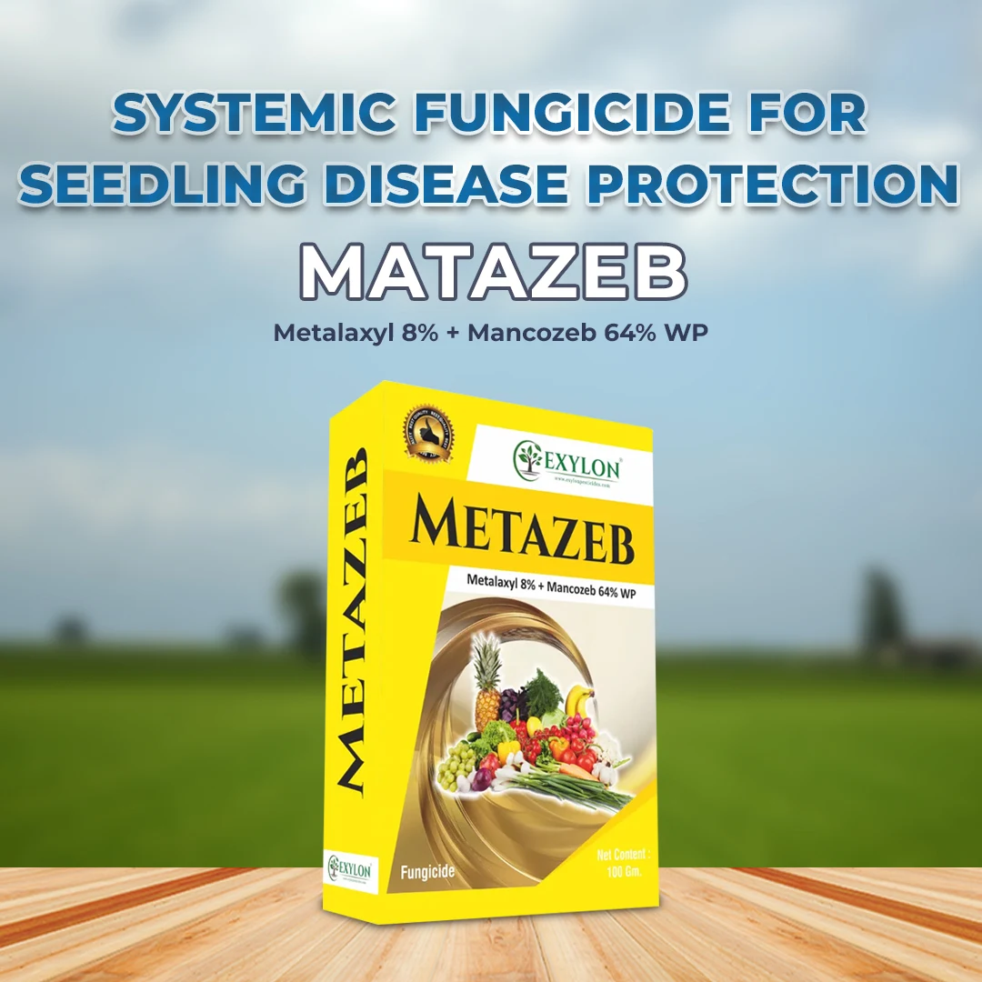 Exylon Matazeb (Metalaxyl 8% + Mancozeb 64% WP) | Buy Online
