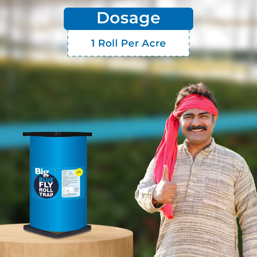 Shop Green Revolution Blue Sticky Roll Trap Online