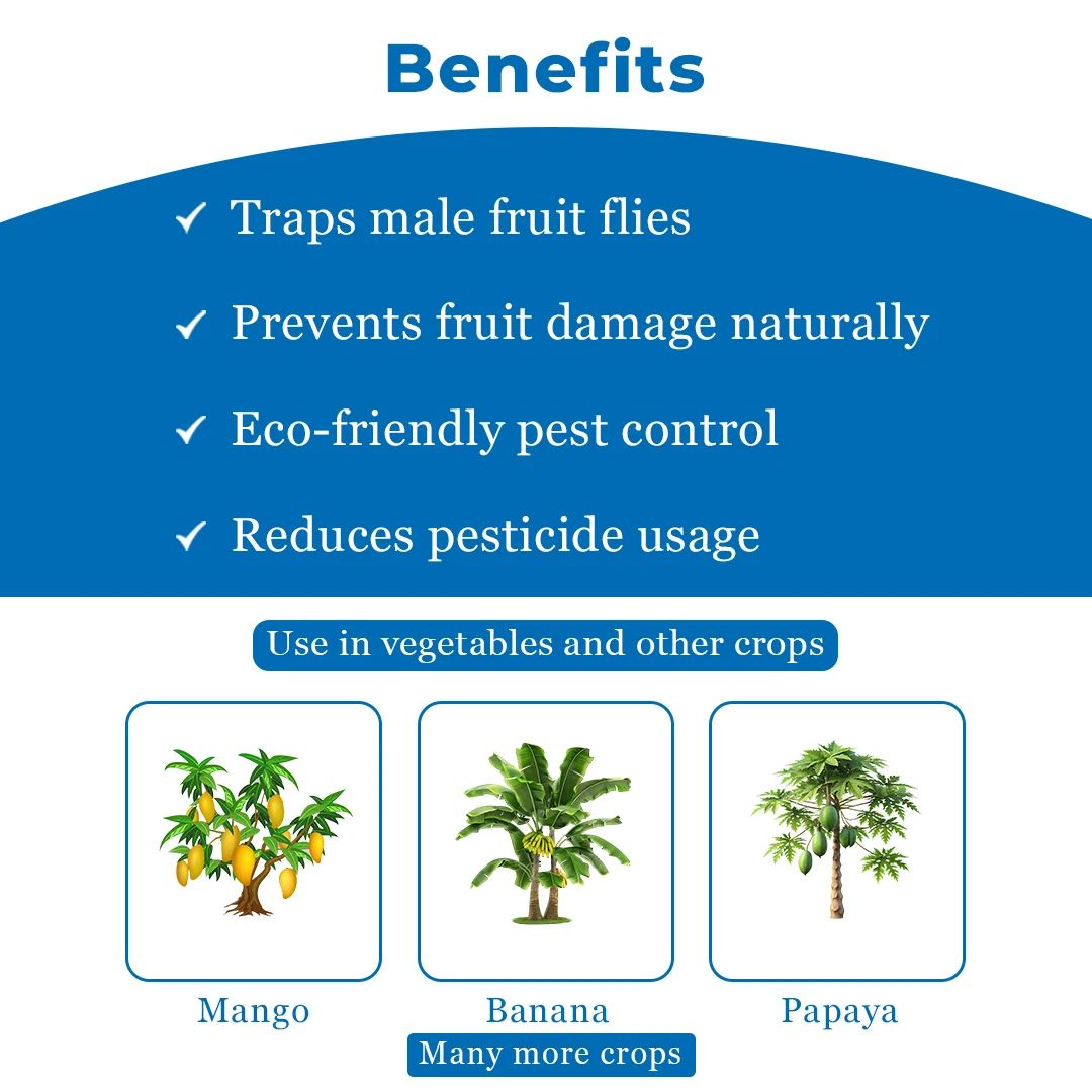 बीएसीएफ वेक्टर 360 फ्रूट ब्लॉक ल्यूर, बैक्ट्रोसेरा डोर्सालिस, बैक्ट्रोसेरा ज़ोनटा, बैक्ट्रोसेरा कोरेक्टा ल्यूर. - Image 4