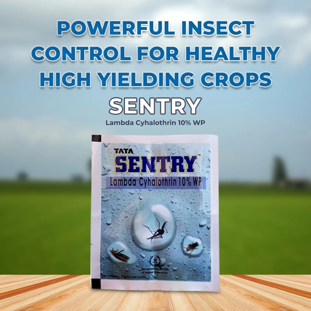 Tata Sentry Insecticide (Lambda Cyhalothrin 10% WP) | Buy Online