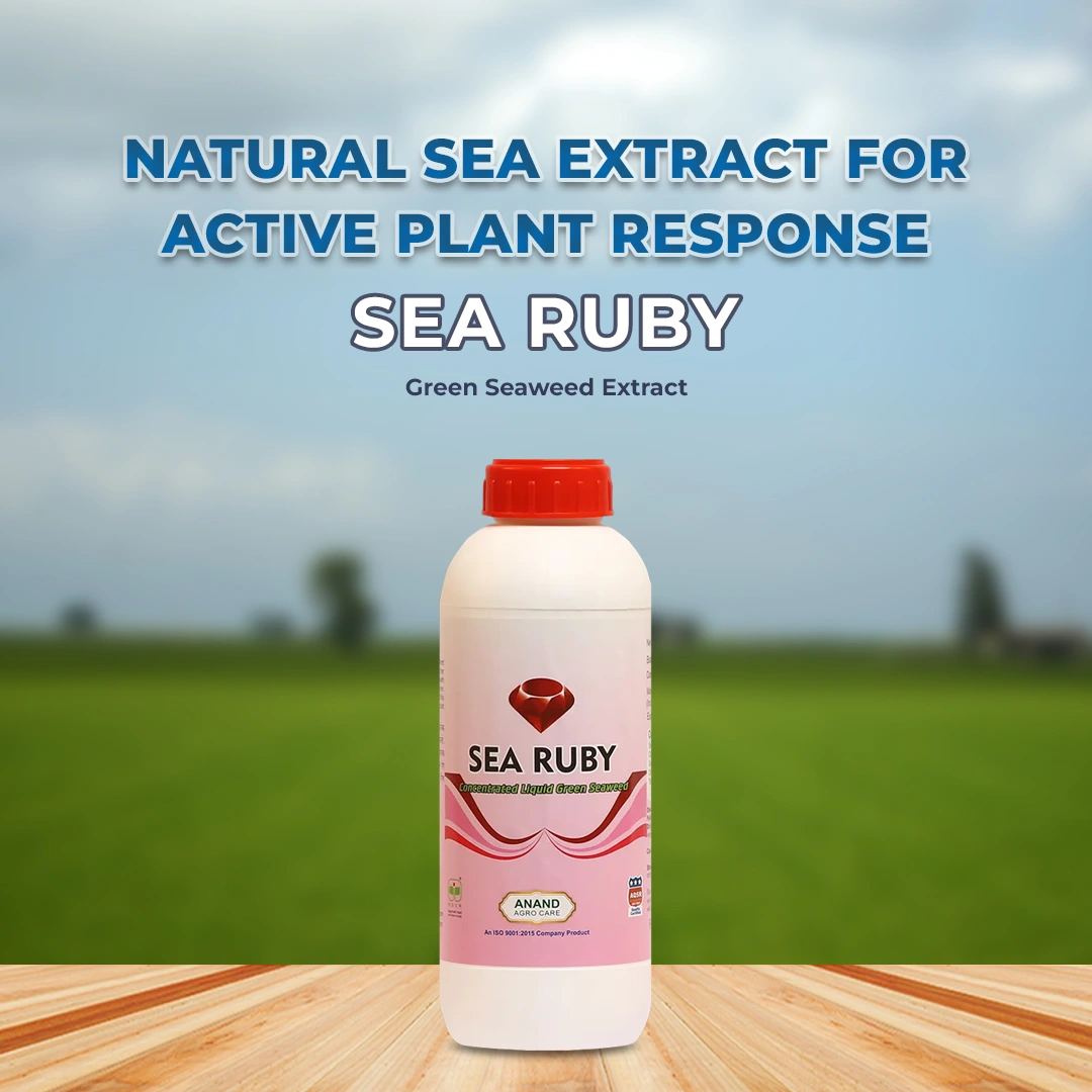 आनंद सी रूबी (तरल) - हरा समुद्री शैवाल अर्क, प्राकृतिक N.P.K प्रदान करता है, जड़ों और कलियों के विकास को सुधारता है। - Image 2