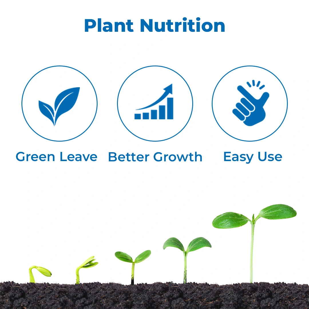 एग्रीवेंचर जिंक ईडीटीए 12% - धान, कपास, मिर्च, गन्ना, सब्जियां, मक्का, मूंगफली, और बागवानी फसलों पर उपयोग करें। - Image 3