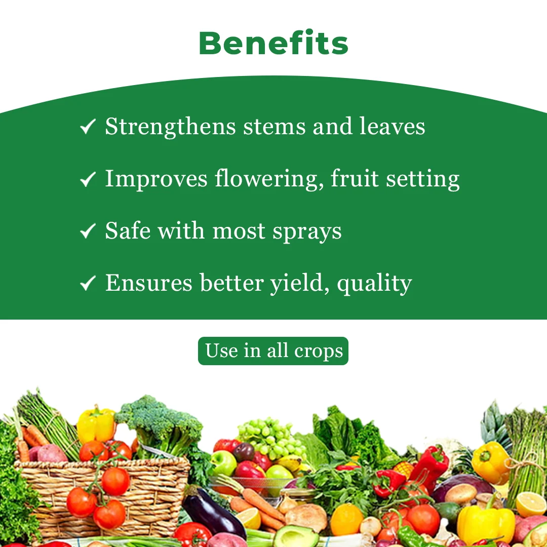 Iron Easy Fe-EDTA 12% Improves Chlorophyll formation, Prevents and Corrects Iron Deficiencies - Image 4