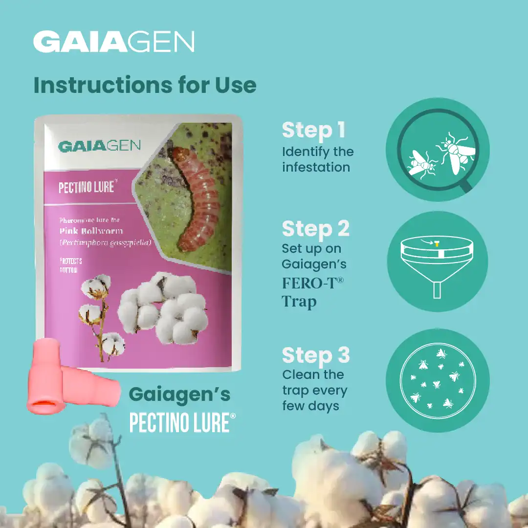 Gaiagen Pheromone Lure for Pink Bollworm (Pectinophora Gossypiella) And Insect Funnel Trap, IMO Certified. - Image 6