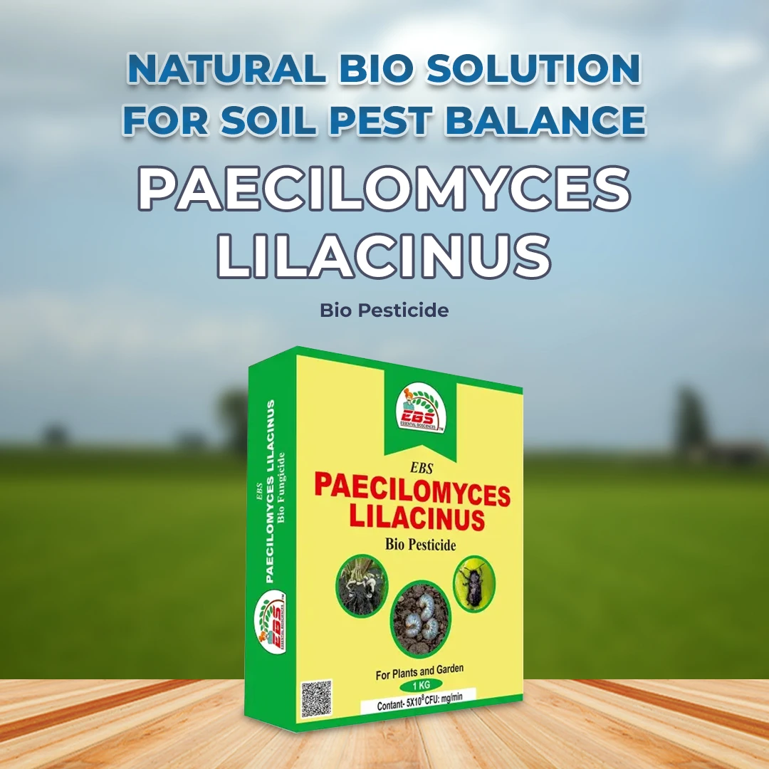 EBS Paecilomyces Lilacinus Bio Pesticide Control Root - Knot Nematode, Ramiform Nematode, Cyst Nematode, Golden Cyst Nematode of Many Crops - Image 2