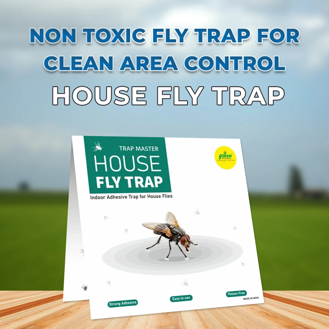 Green Revolution House Fly Trap (Pack of 10) Glue Trap, Insect Trap For Housefly, Poultry Flies, Sticky Paper - Image 2
