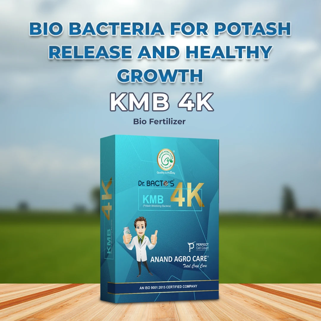 Anand Agro Care Dr. Bacto\'s KMB 4K (Potash Mobilizing Bacteria) Increases Crop Productivity And Yield - Image 2