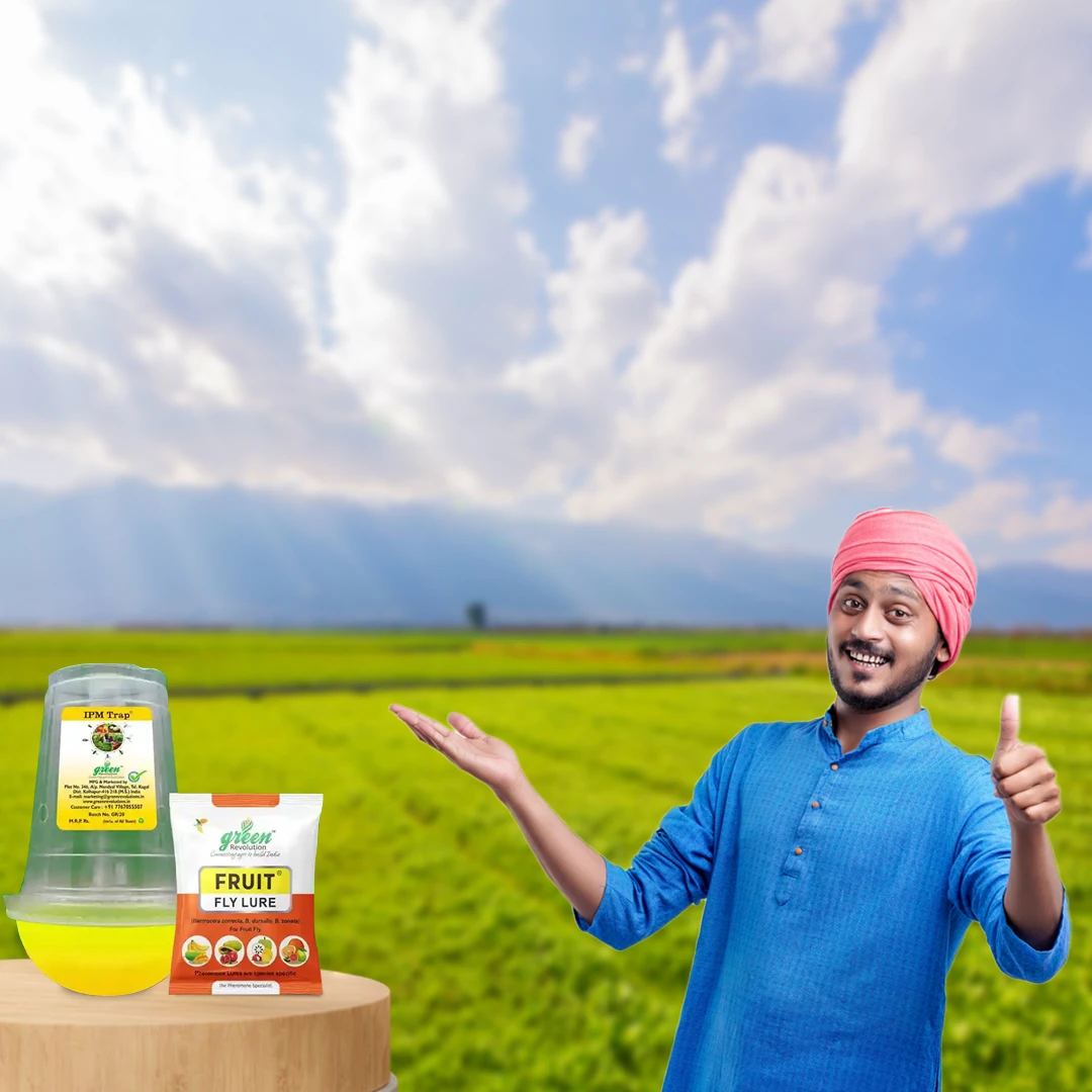 फ्रूट फ्लाई फेरोमोने ट्रैप सेट - 1 एकड़ के लिए और बैक्ट्रोसेरा कोरेक्टा, ज़ोनटा, डोर्सालिसा के लिए लुअर। - Image 5