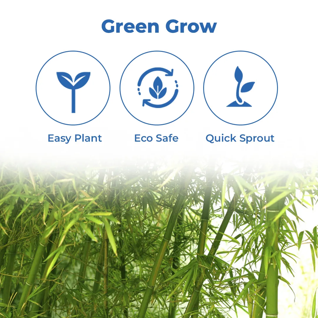 Seed Balls Just Throw & Grow (Bamboo or Mongil Seed Balls) Tree Seed Balls. Just throw on land or place in pot. - Image 3