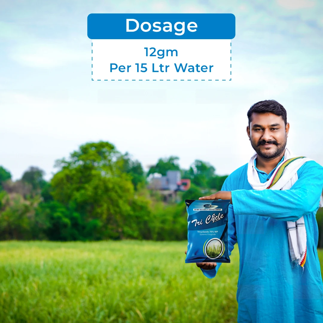 Agriventure Tri Cycle Tricyclazole 75% WP Fungicide, Wettable Powder, Systemic Fungicide - Image 5