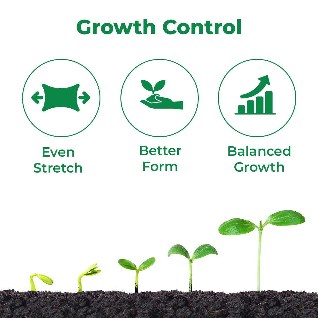 EBS Grow Genius Gibberellic Acid 0.001% L, Which Stimulate & Regulate The Plant Growth - Image 3