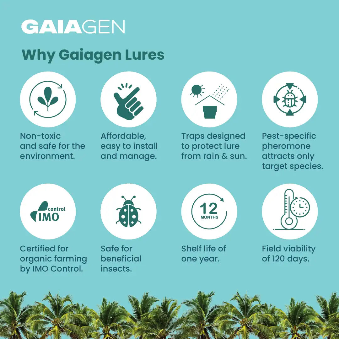 गाइएजेन आरबी ल्यूर, फेरोमोन ल्यूर राइनोसेरोस बीटल (ओरिक्टेस भृंग) के लिए बाहरी पौधों और कीट बकेट ट्रैप, आईएमओ प्रमाणित - Image 4