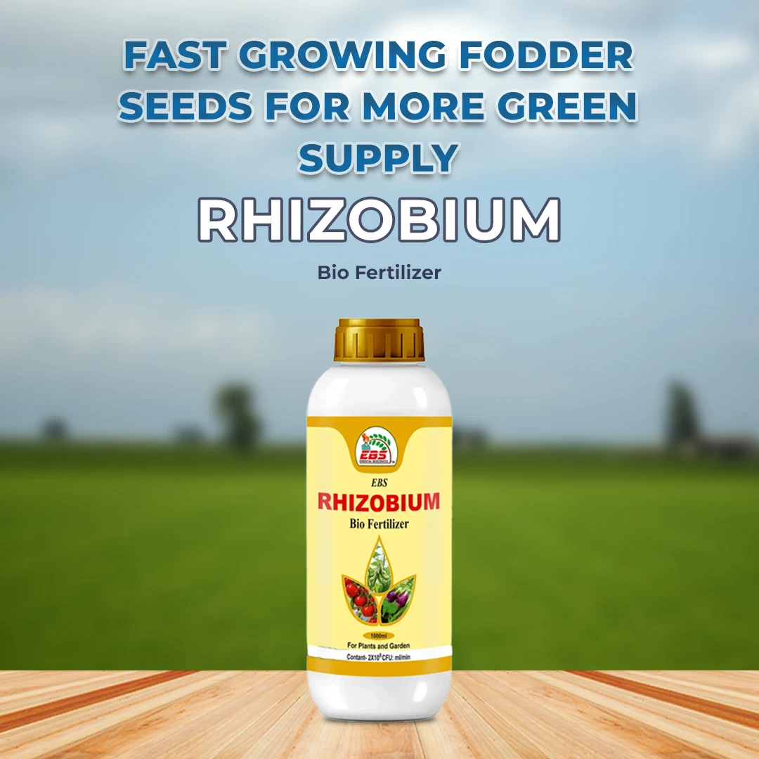 EBS Rhizobium Spp Bio Fertilizer, For Nitrogen Fixation In The Soil Naturally For Better Absorption Of Nitrogen - Image 2