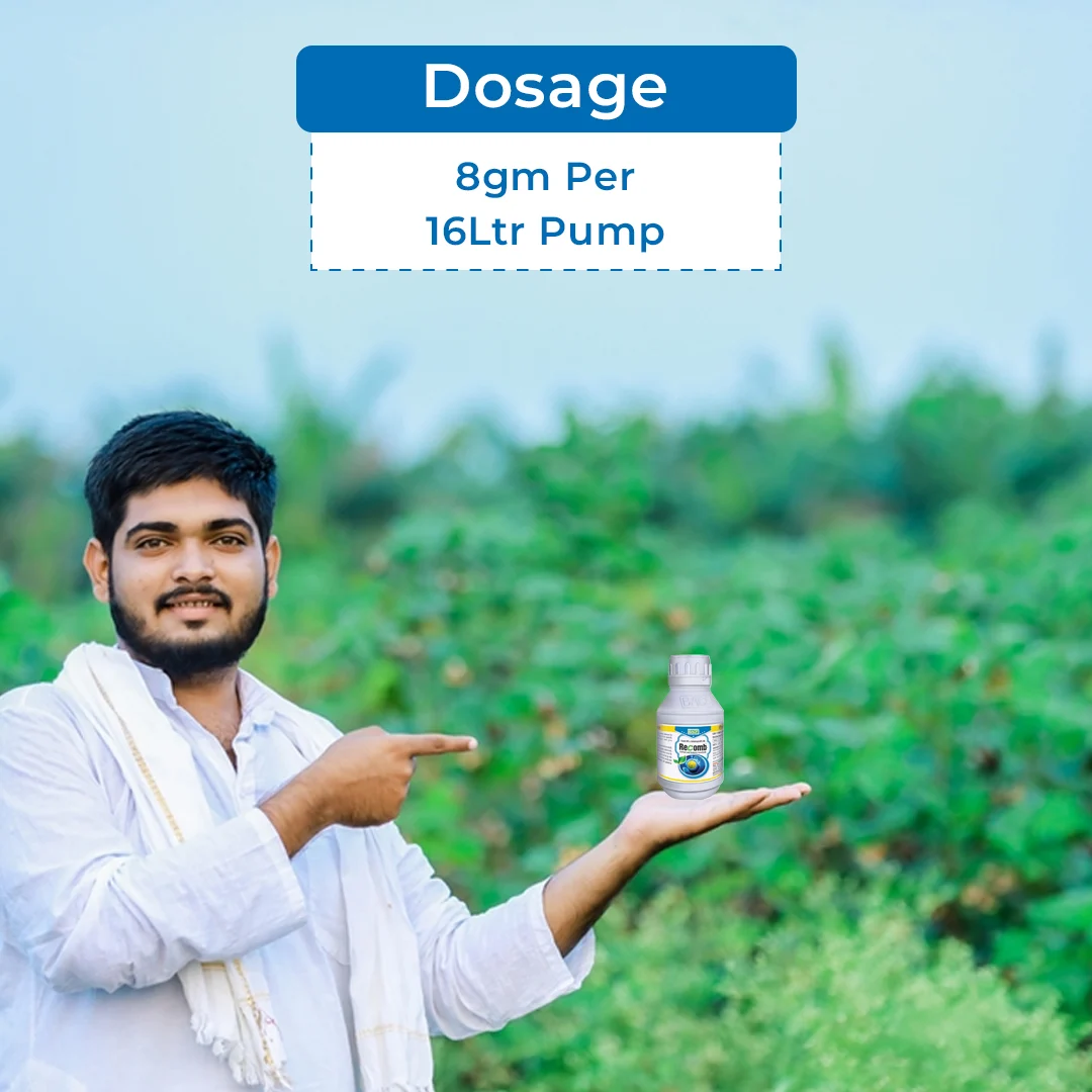 BACF Recomb Insecticide - Image 5