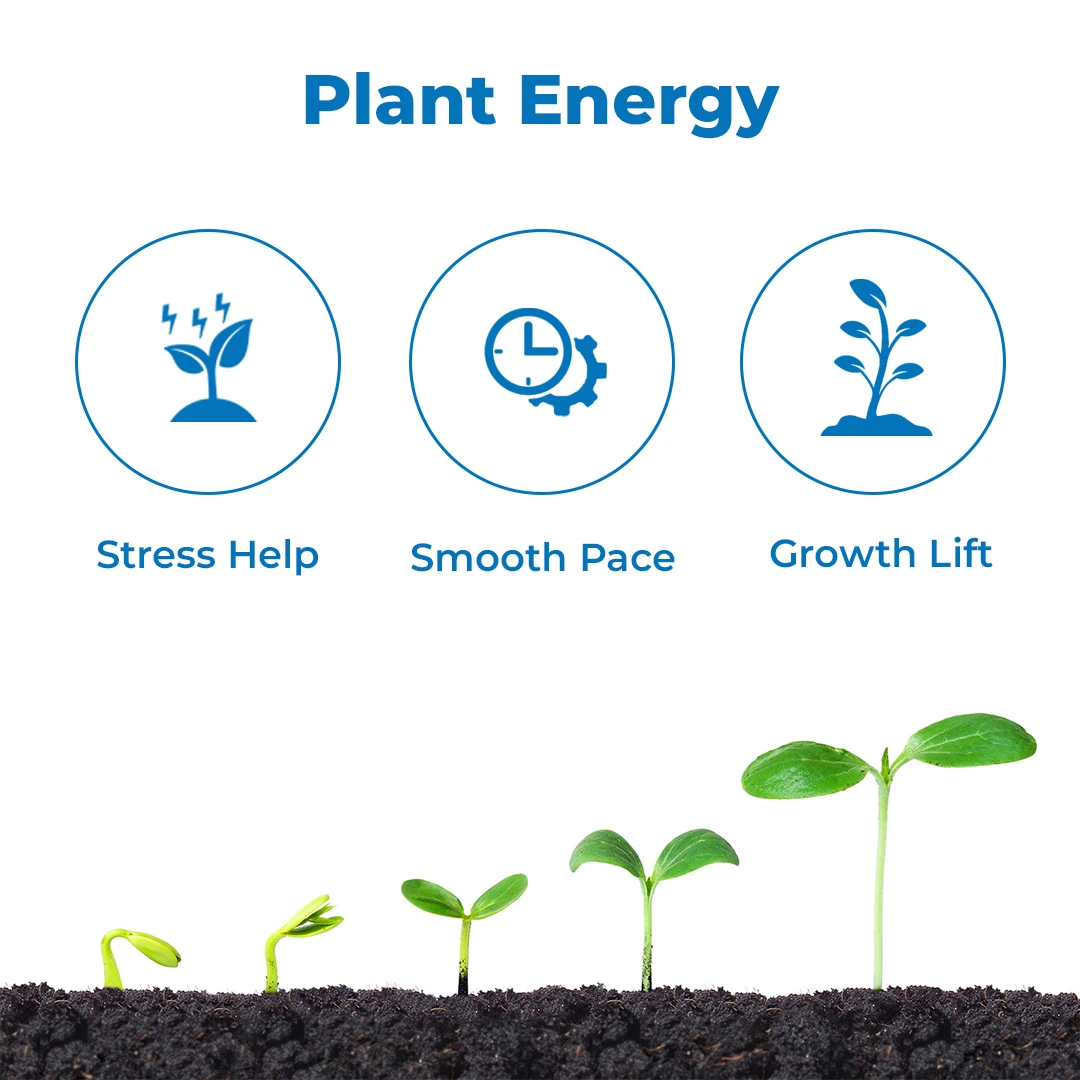 आनंद एग्रो इंस्टा बायोन - अमीनो एसिड और पेप्टाइड आधारित मिश्रण, वृद्धि को बढ़ाने में मदद करता है। - Image 3