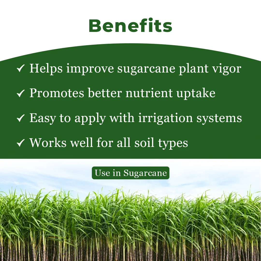 Sugarcane Special Liquid Micronutrient Mixture Fertilizer Enriched with Essential Micronutrients like Zinc, Ferrous, Boron, Copper And Manganese. - Image 4