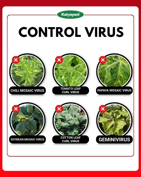 Katyayani Anti Virus Broad Spectrum Organic Virucide For All Viral Plant Diseases - Image 3