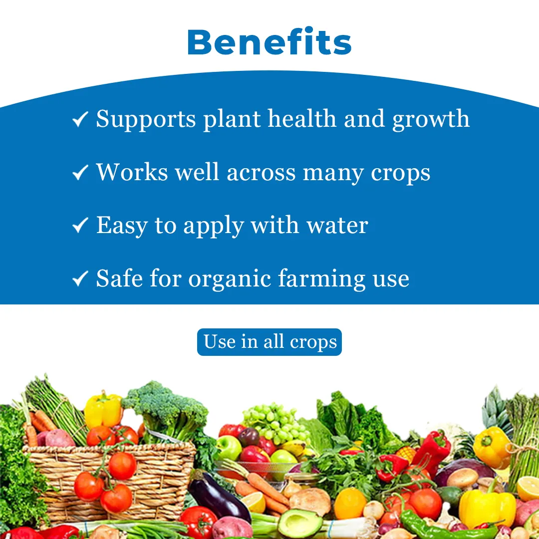 डॉ. आनंद नीम 0.15% जैव कीट नाशक, आज़ादिरैक्टिन 1500 पीपीएम और नीम बीज के कर्नेल के अर्क से तैयार। - Image 4