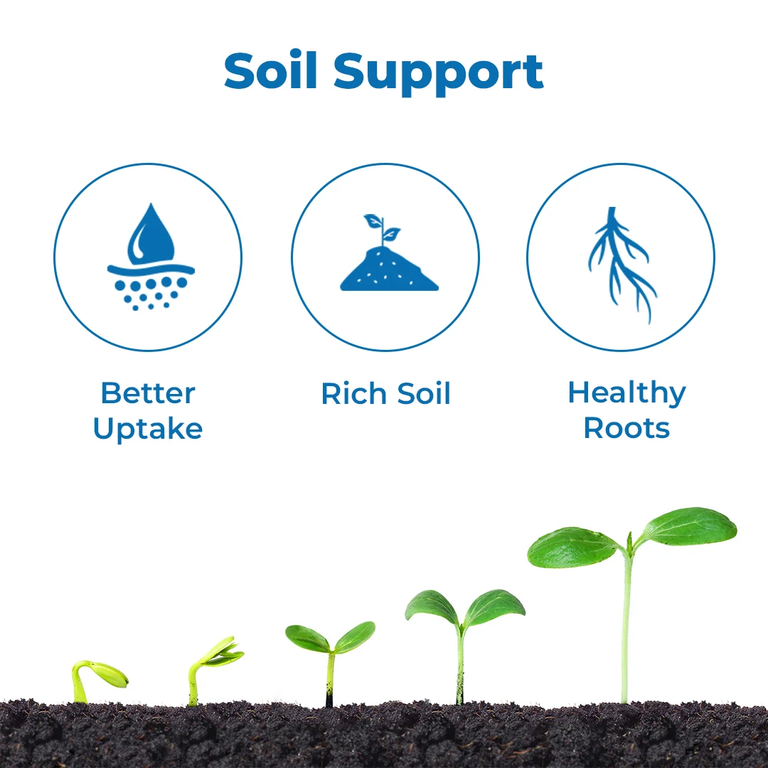 डॉ. बैक्टो की बैक्टो किट, जैव उर्वरक किट में एनपीके कंसोर्टिया, पीएसबी, बैक्टोरिज़ा और एक्टिवेटर-फूड किट (प्रत्येक 200 ग्राम) शामिल हैं। - Image 3