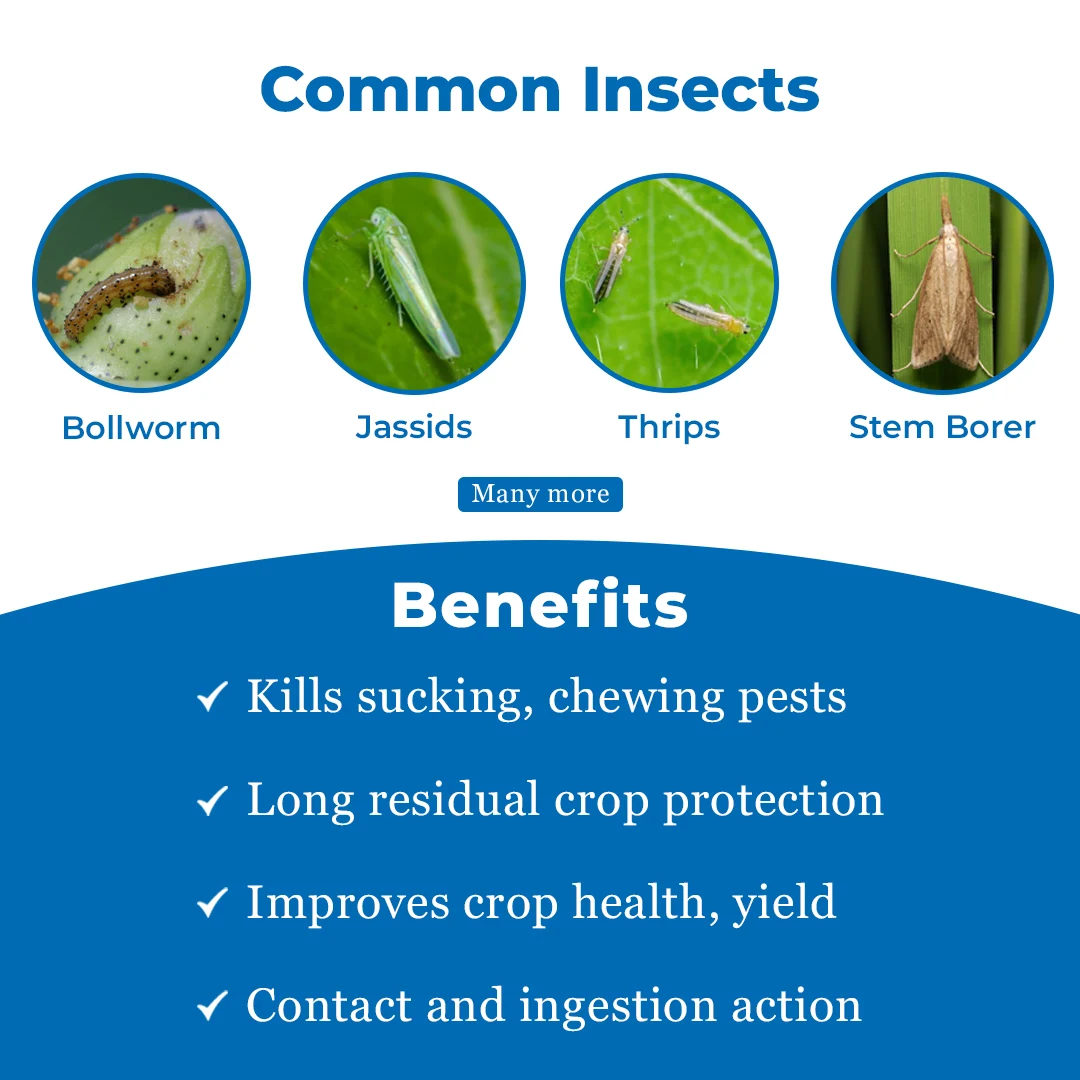 Bacf Sanda Lambda Cyhalothrin 5% EC Insecticide, Contact And Systematic Action - Image 3