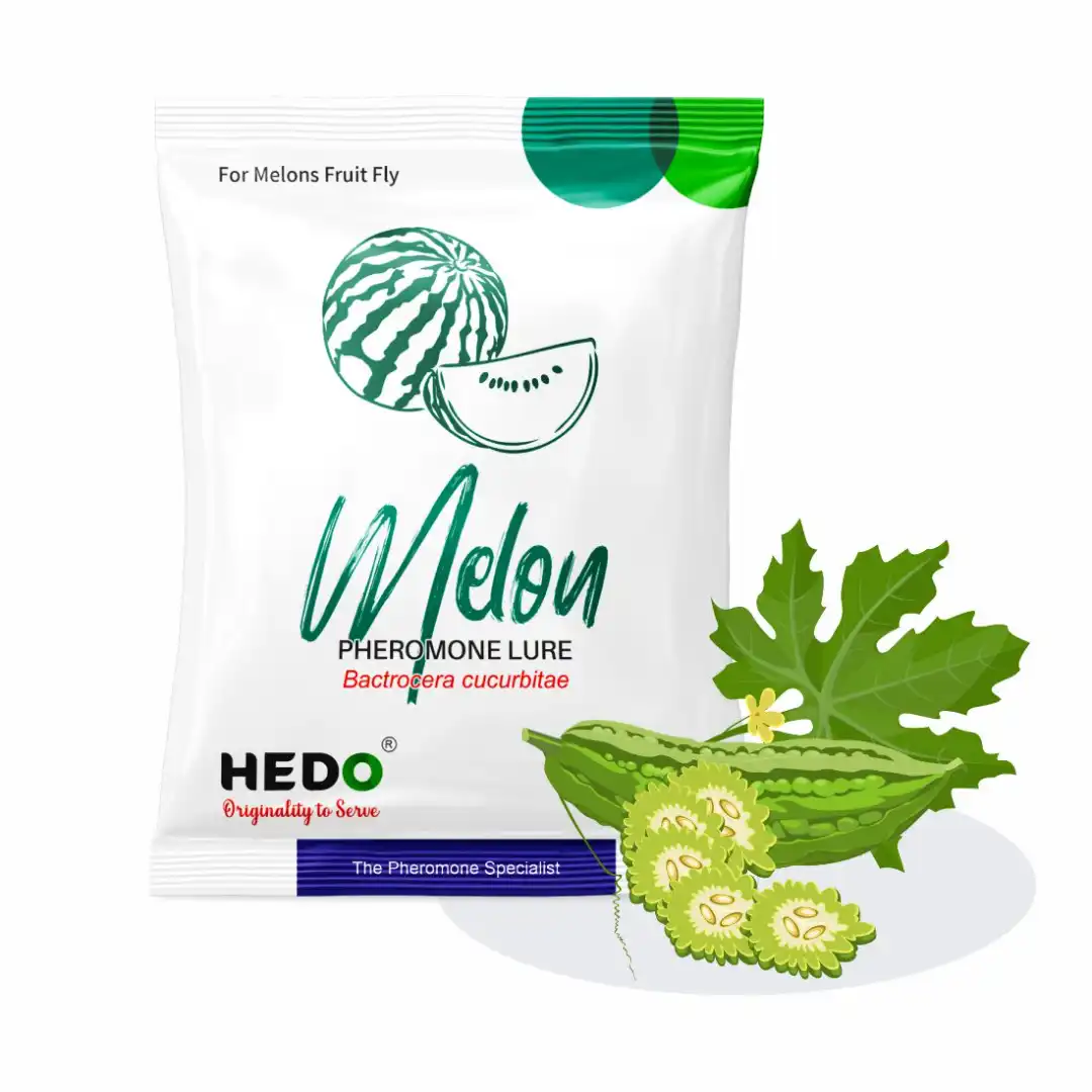 HEDO Pheromone Trap With Melon Fruit Lure (Bactrocera Cucurbitae) Control Melon Fly For Cucumber, Bottle Gourd, Bitter Gourd, Pumpkin, Water Melon - Image 7