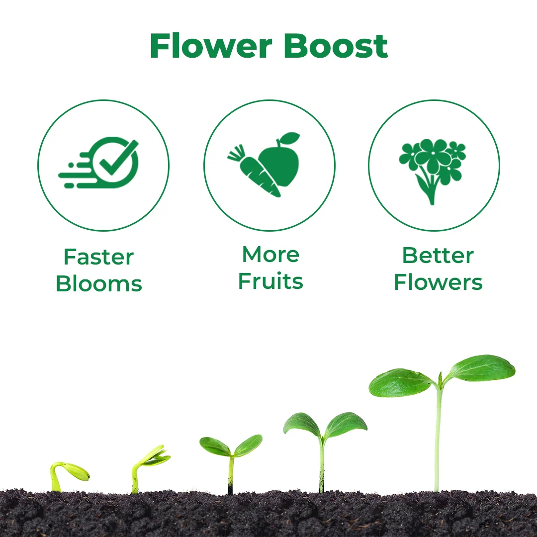 आनंद स्केल अप (ब्रैसिनोलाइड) फूलने वाला बायो स्टिमुलेंट - आकार बढ़ाने वाला, बेरी के आकार और कुरकुरे, चमकदार फल सुधारता है, और बेरी का वजन बढ़ाता है। - Image 3