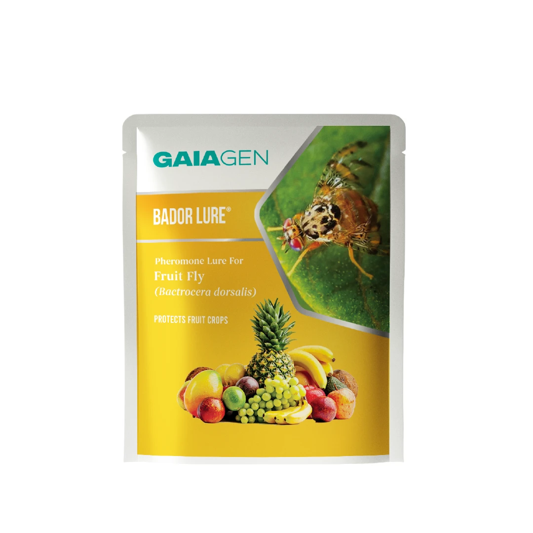 Gaiagen Bador Lure, Pheromone Lure For Fruit Fly (Bactrocera Dorsalis) And Insect Fly Trap, IMO Certified - Image 2