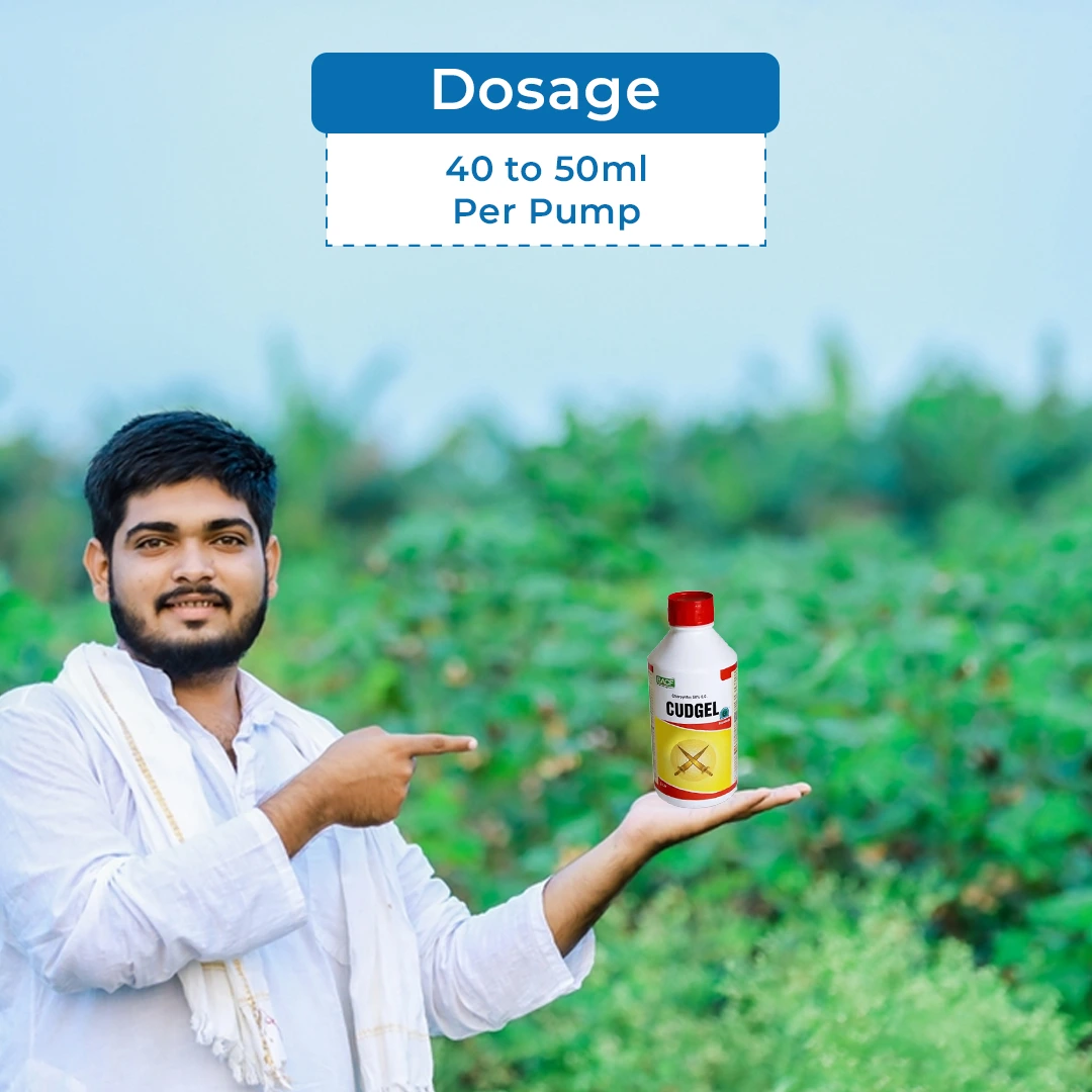 बीएसीएफ कुडगेल - क्लोरपाइरीफोस 50% ईसी. कीटनाशक, बॉल वर्म, तना छेदक और लीफ रोलर, और दीमक नियंत्रण के लिए सर्वश्रेष्ठ - Image 5