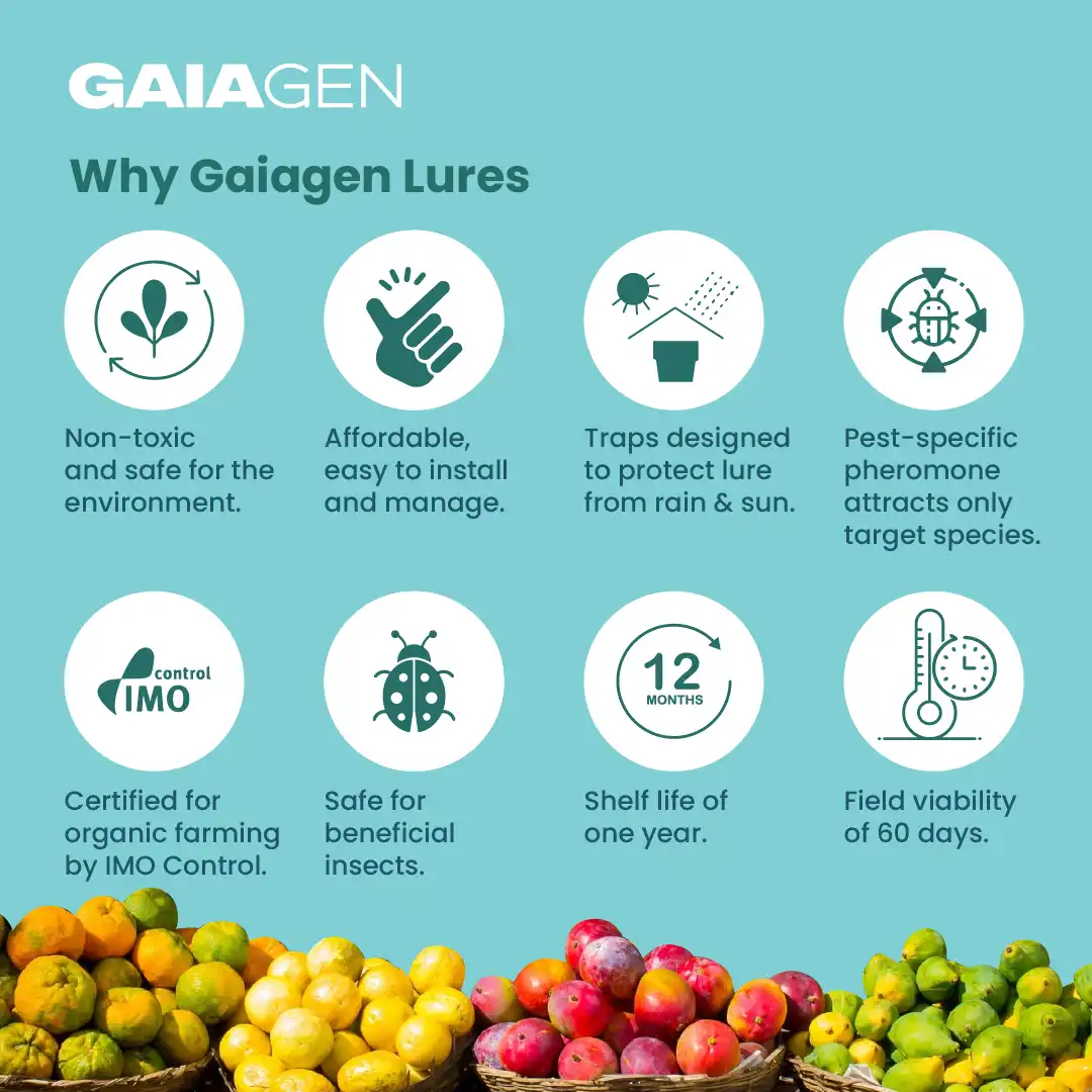 Gaiagen Bador Lure, Pheromone Lure For Fruit Fly (Bactrocera Dorsalis) And Insect Fly Trap, IMO Certified - Image 8