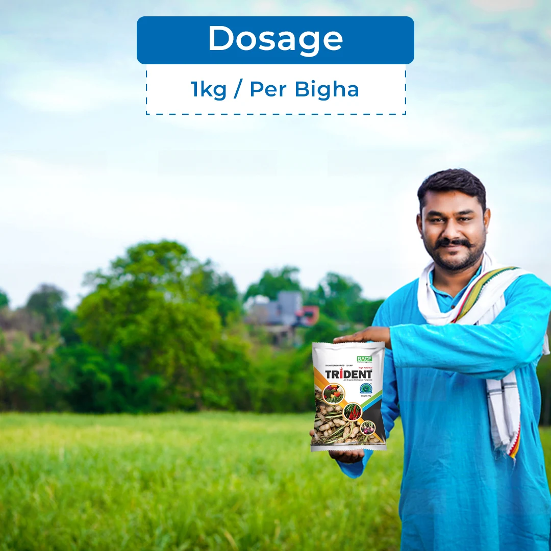 बीएसीएफ ट्राइडेंट ट्राइकोडर्मा विराइड 1.5% डब्ल्यूपी, कार्बनिक जैविक फफूंदनाशक, सभी प्रकार के खेतों और बागवानी फसलों के लिए. - Image 5
