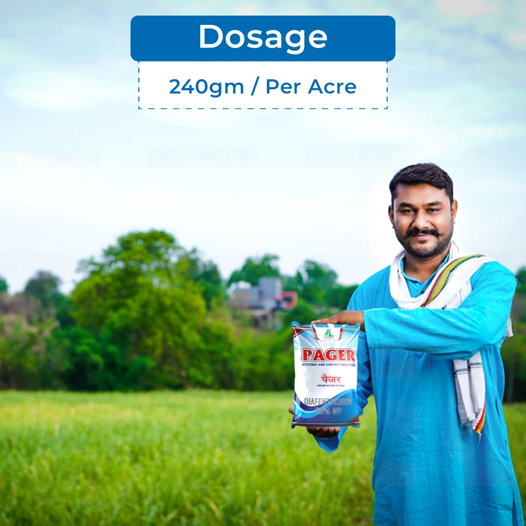 Pager Insecticide - Diafenthiuron 50% WP - Image 5