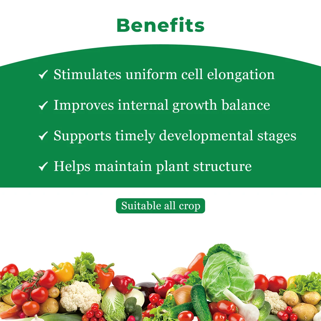 EBS Grow Genius Gibberellic Acid 0.001% L, Which Stimulate & Regulate The Plant Growth - Image 4
