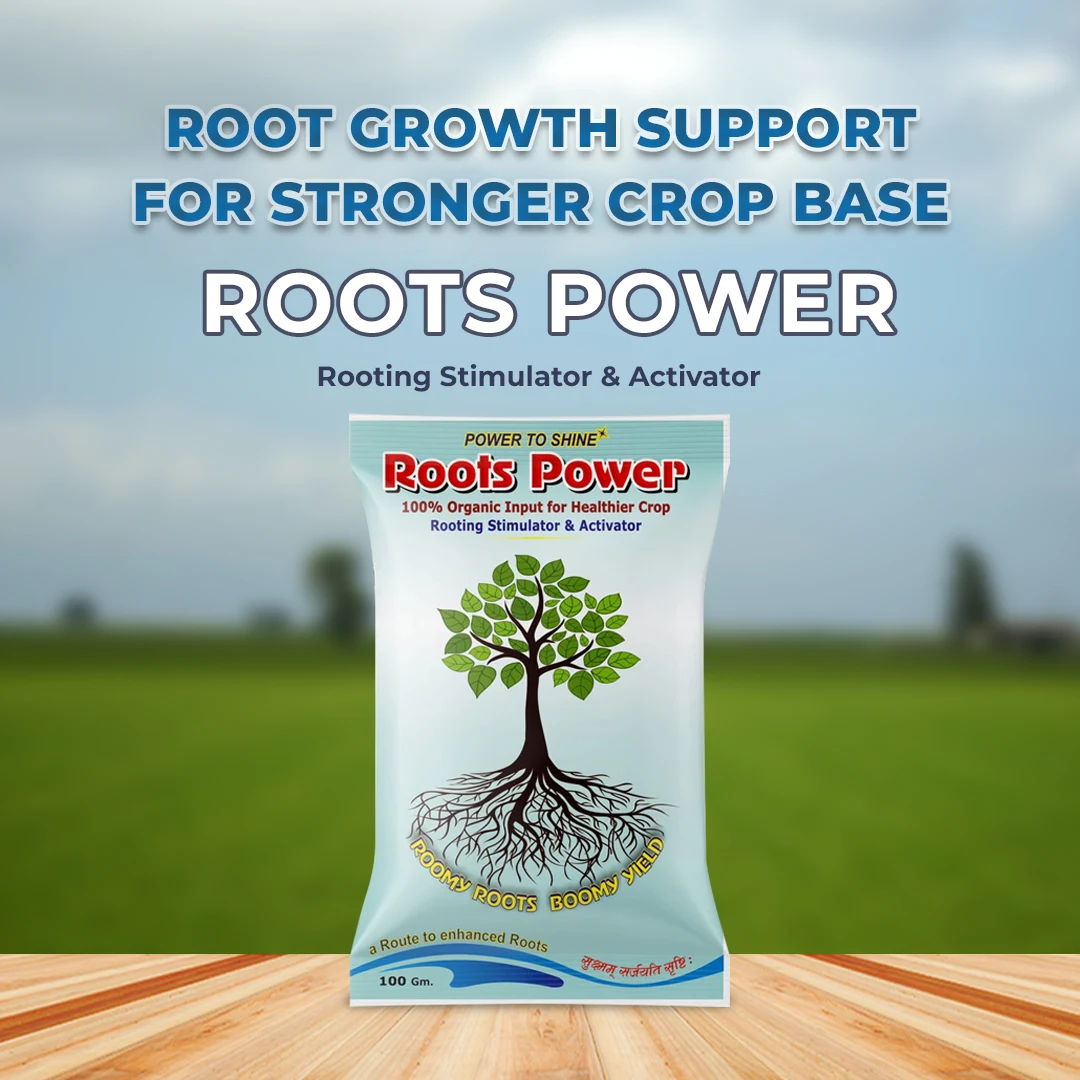 Root Corepower Roots Power (Rooting Hormone) | Buy Online
