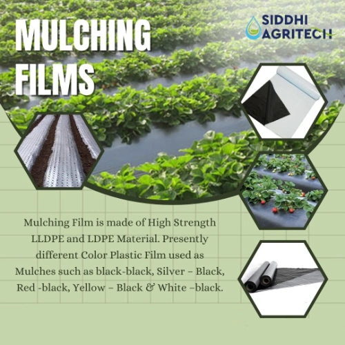 Siddhi Mulch Film Mulching Sheet, (1 Meter Width X 400 Meters Length) Black And White For Agriculture & Horticulture - Image 8