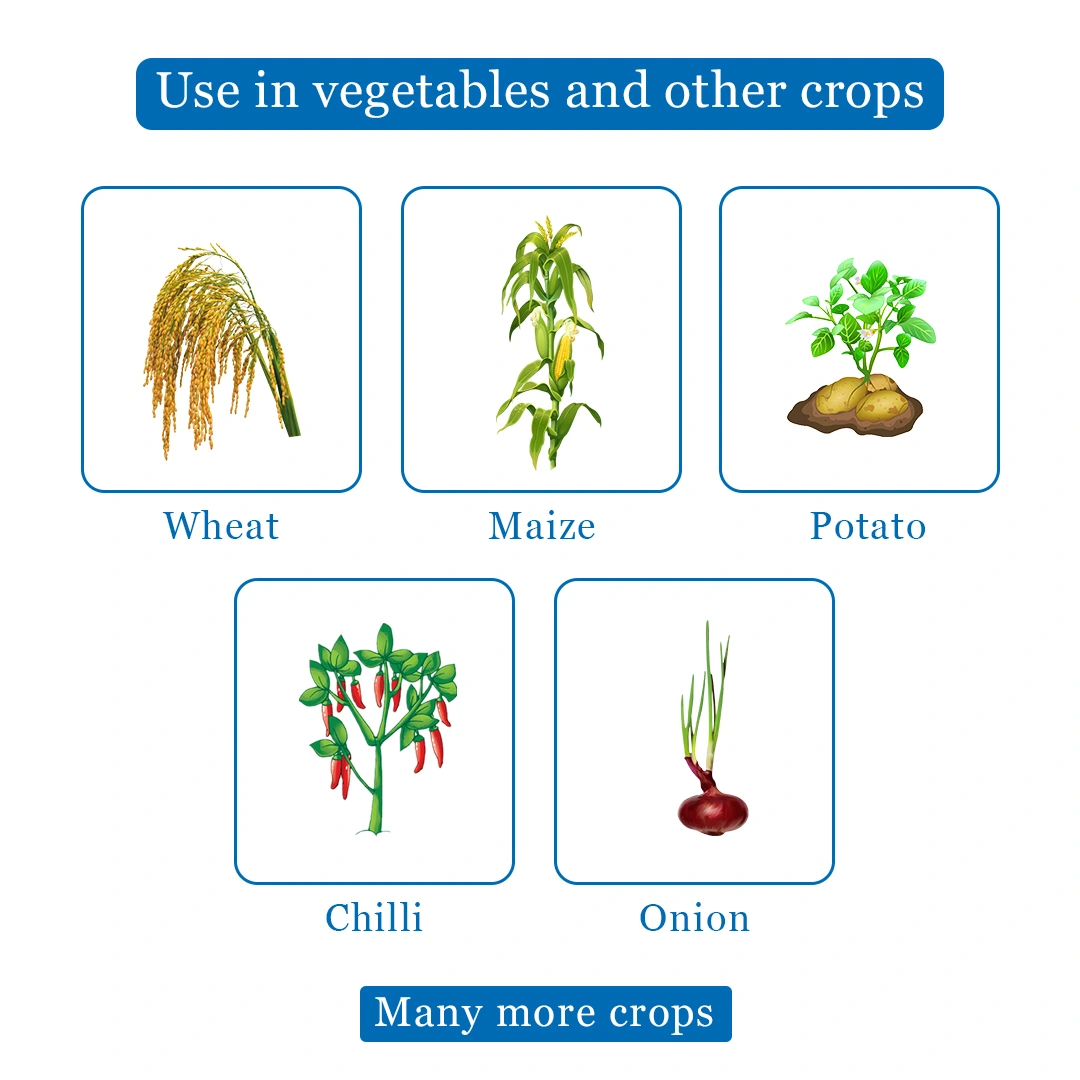 Agriventure CYPERMEN (Profenofos 40% + Cypermethrin 4% EC) Insecticides, Control Bollworm - Image 4